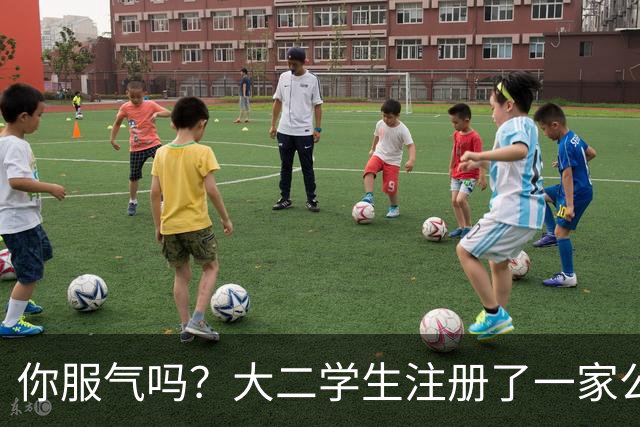 你服气吗？大二学生注册了一家公司，员工名单上只有他自己，而他一年营收达到了60万