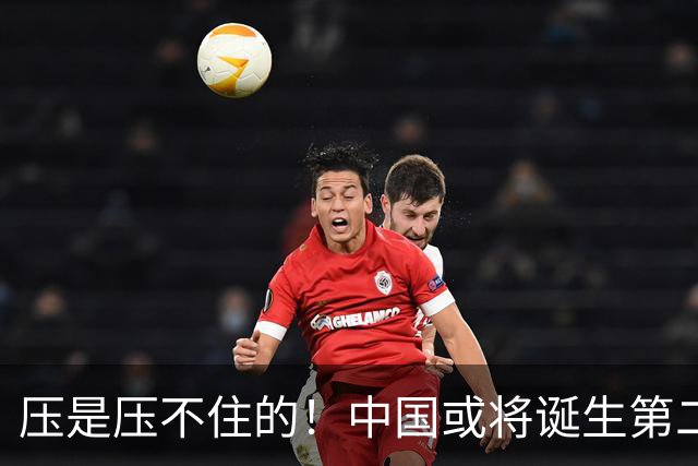 压是压不住的！中国或将诞生第二个华为